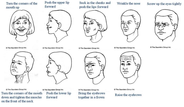face-exercises